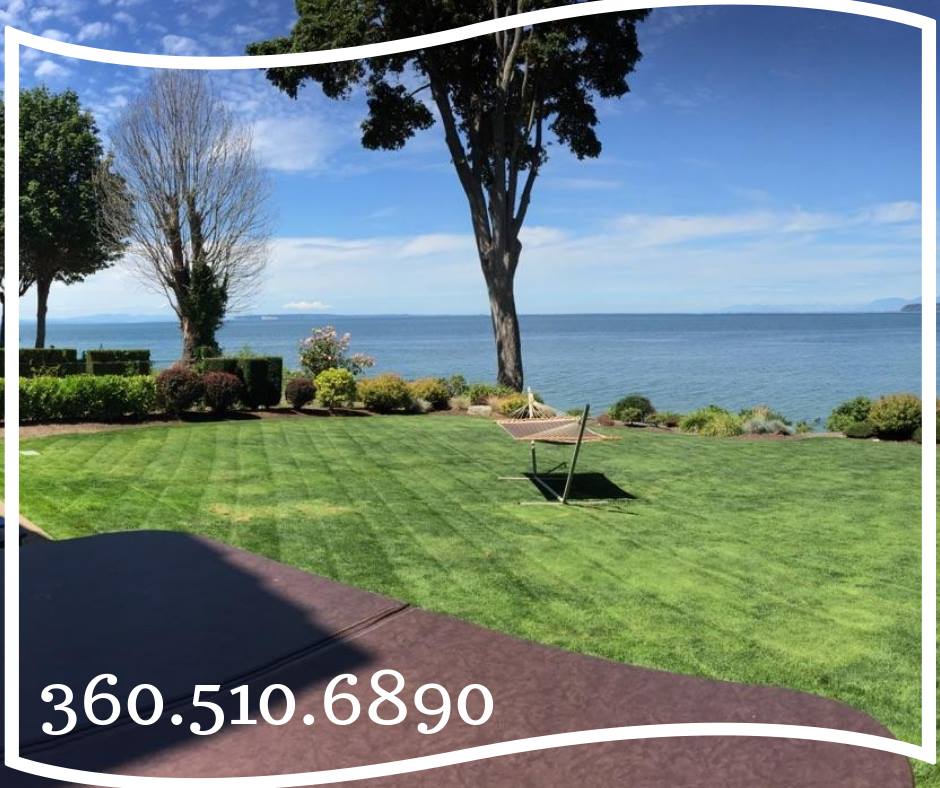 North County Landscape Co logo