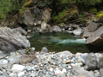 Welch Ecological Services logo