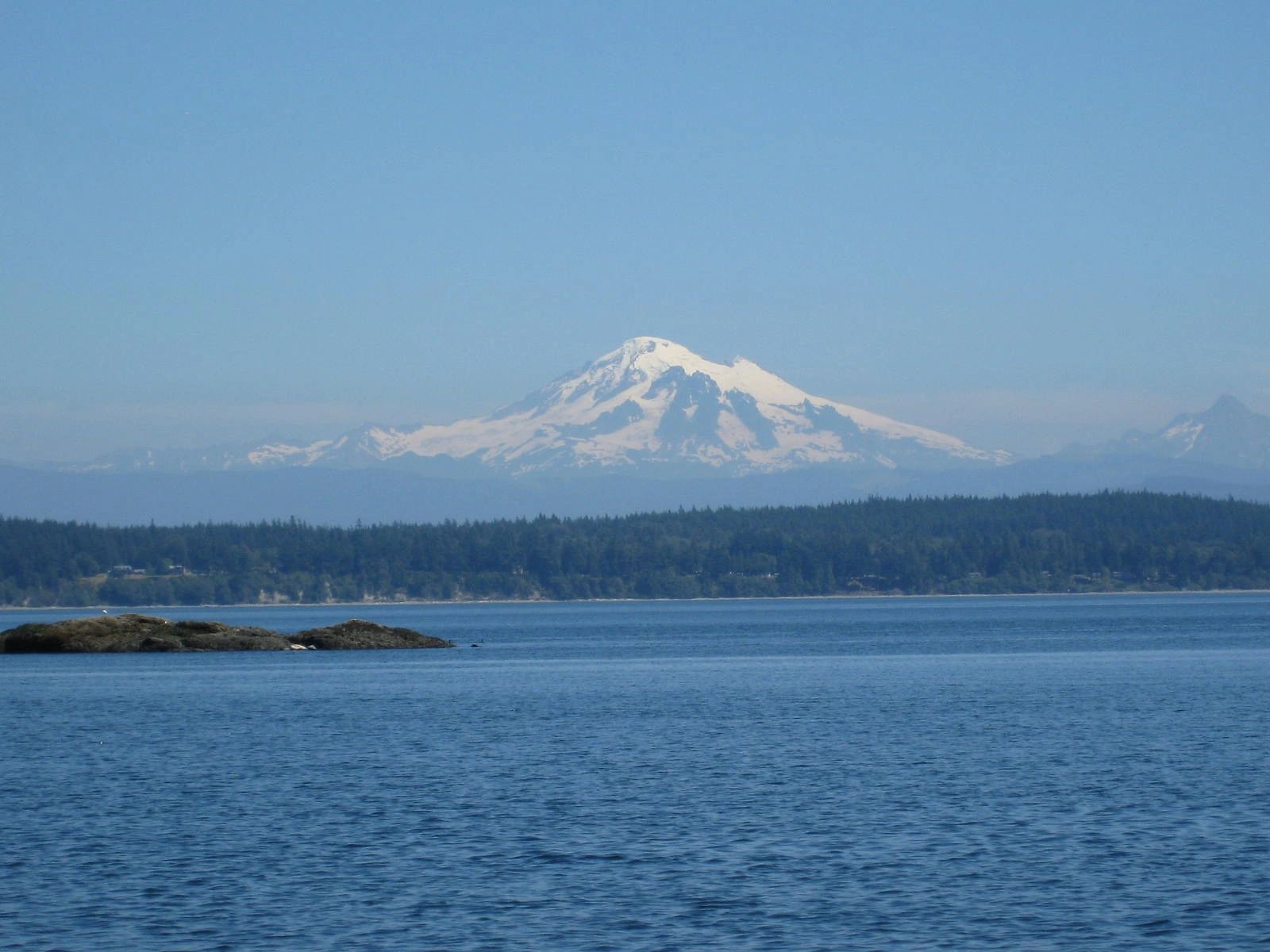 Life Counseling logo