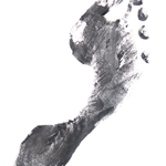 Skagit Foot & Ankle Clinic logo