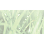 Green Earth Technology LLC logo