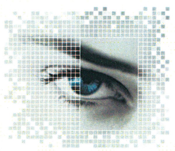 Eyes Rite Optical Bellingham, WA Local