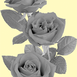 M & M Floral & Gifts logo